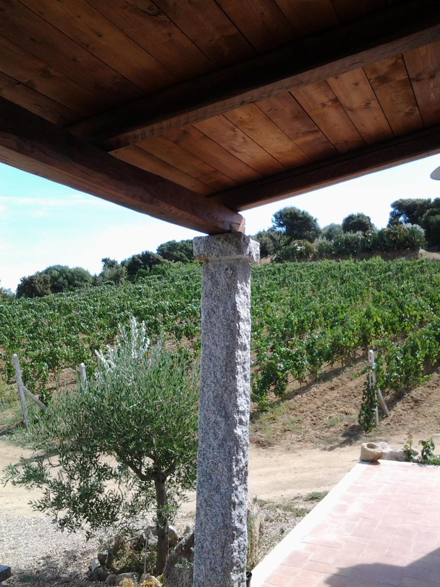 Agriturismo B&B Domo De Resteblas Berchidda Dış mekan fotoğraf