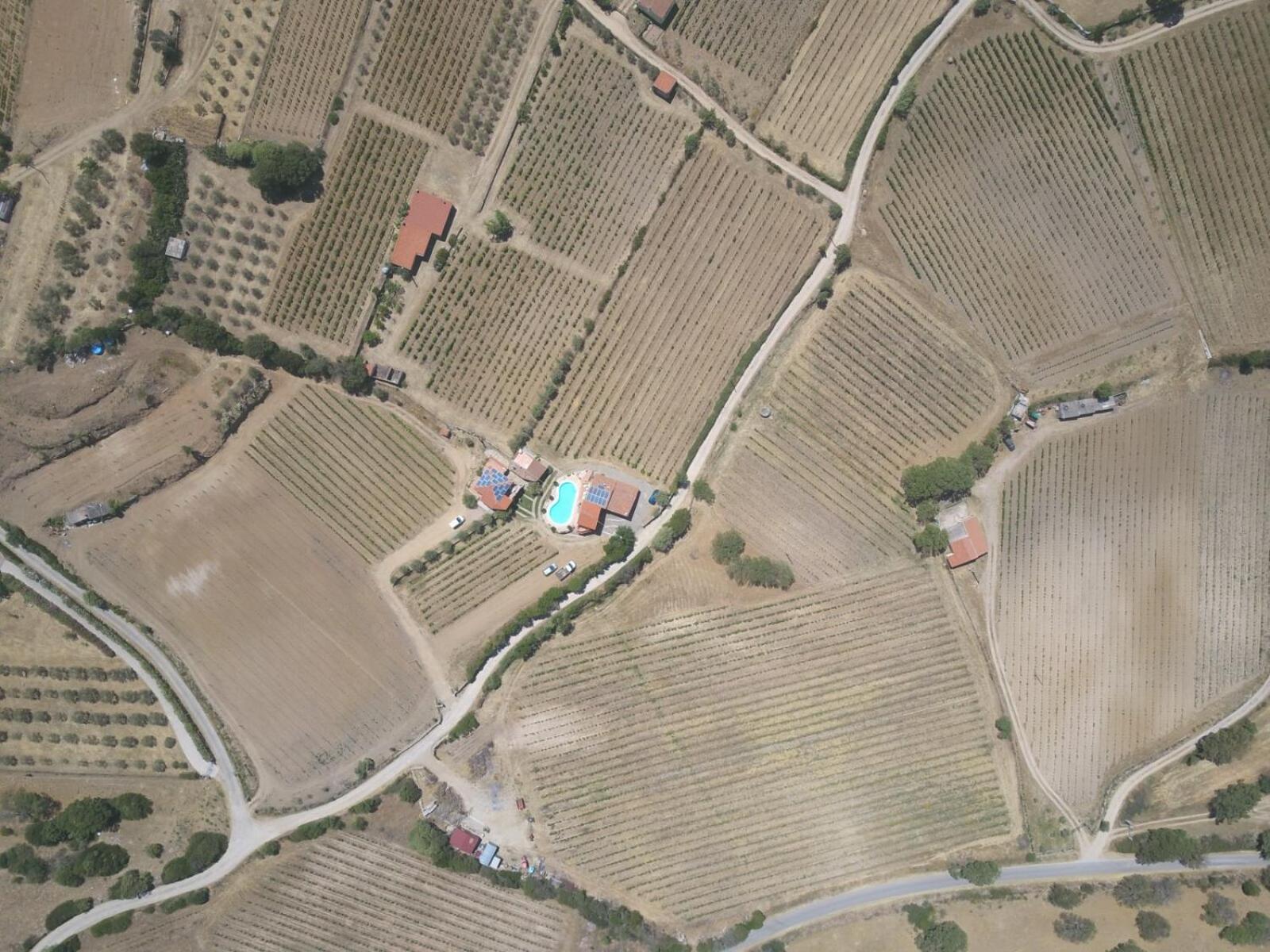 Agriturismo B&B Domo De Resteblas Berchidda Dış mekan fotoğraf