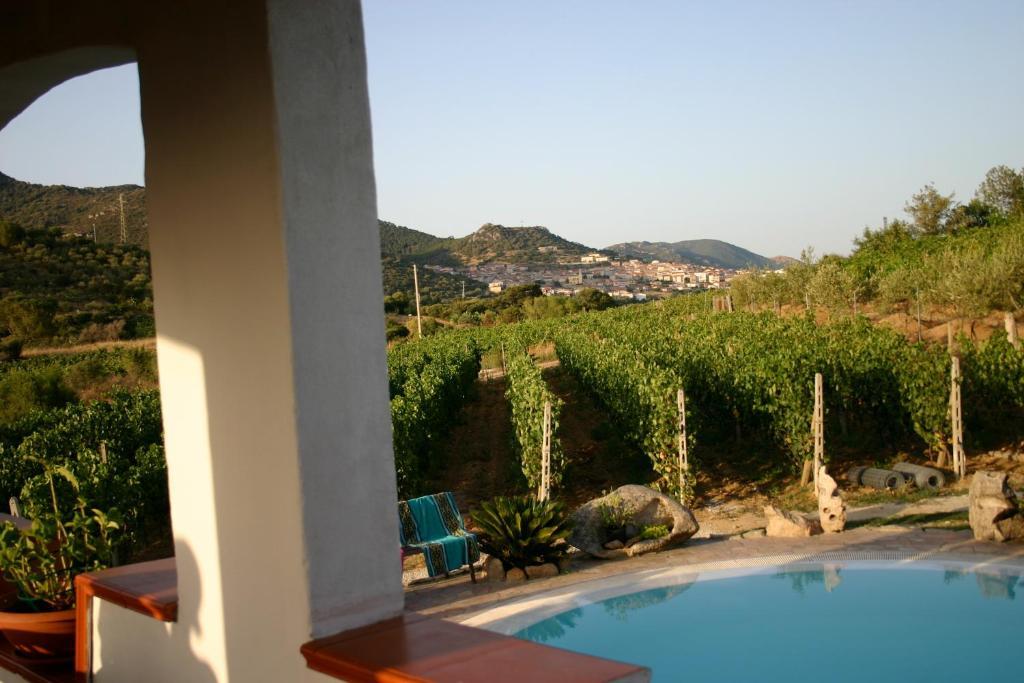 Agriturismo B&B Domo De Resteblas Berchidda Dış mekan fotoğraf