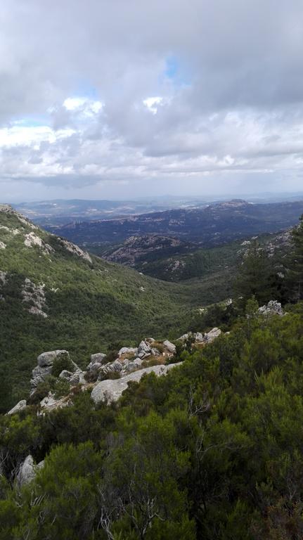 Agriturismo B&B Domo De Resteblas Berchidda Dış mekan fotoğraf
