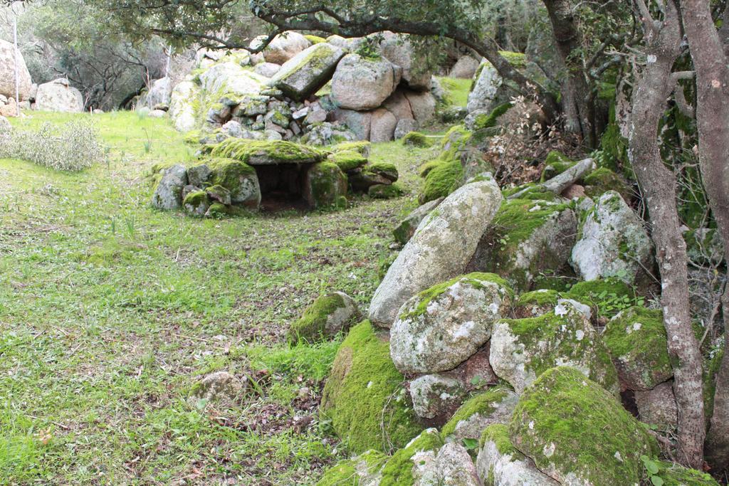 Agriturismo B&B Domo De Resteblas Berchidda Dış mekan fotoğraf
