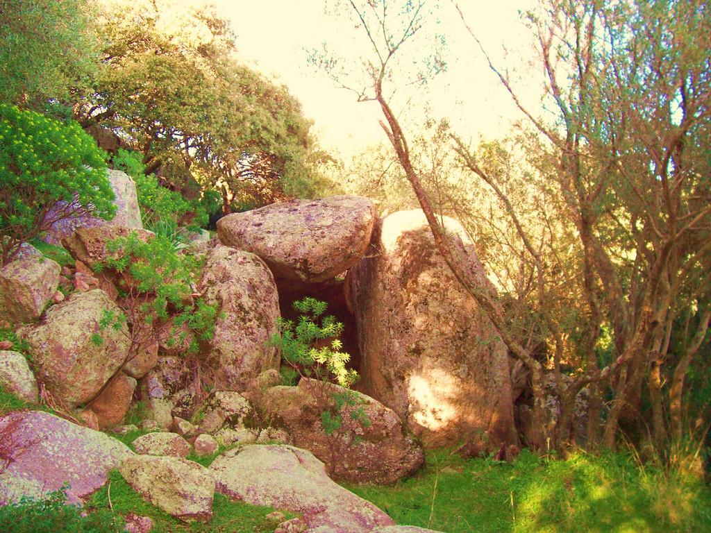 Agriturismo B&B Domo De Resteblas Berchidda Dış mekan fotoğraf