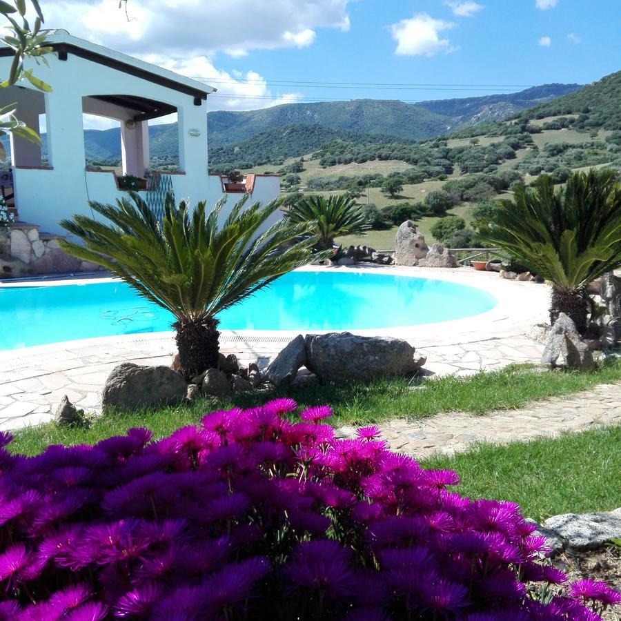 Agriturismo B&B Domo De Resteblas Berchidda Dış mekan fotoğraf