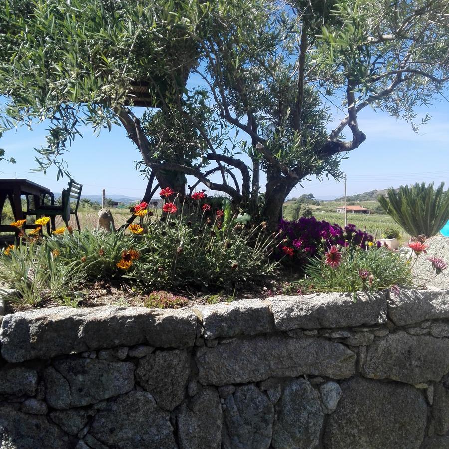 Agriturismo B&B Domo De Resteblas Berchidda Dış mekan fotoğraf