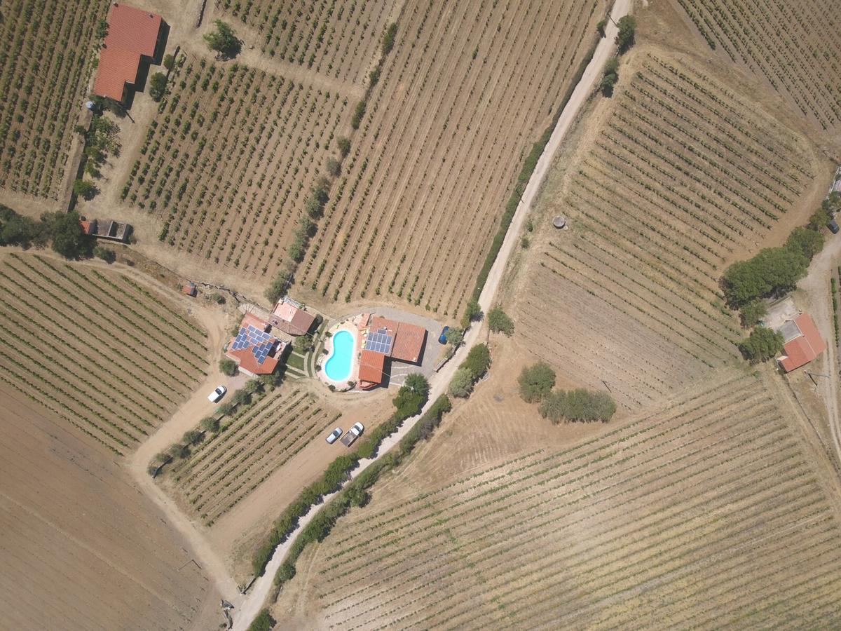 Agriturismo B&B Domo De Resteblas Berchidda Dış mekan fotoğraf